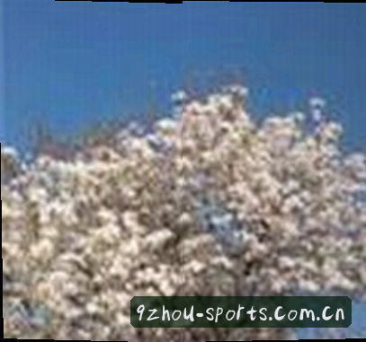 王磊